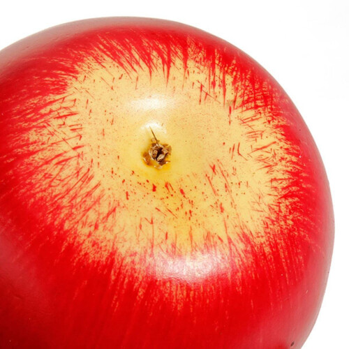 Decorative Artificial  Plastic Fruits Imitation Home Decor 12Pcs Red 2