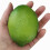 18 x Realistico Finto Plastica Artificiale Lime Lemon Fruit Food Finto Home Decor 5