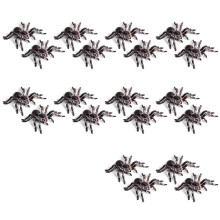 20 Stks 9.5 Cm Grote Nep Realistische Spider Insect Model Toy Fun Halloween Scary Prop