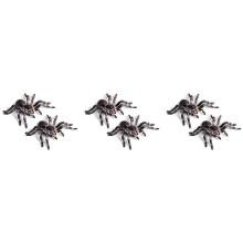6Pcs 9.5cm Large Fake Realistic Spider Insect Model Toy Fun Halloween Scary Prop