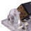 2X Solar Magnetic Levitation Model Levitating Mendocino Motor Educational Model St41 7