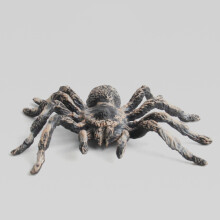 6 Stück 9,5cm Groß Gefälschte Realistische Spinne Insekten Modell Spielzeug Spaß Halloween Unheimlich Stütze