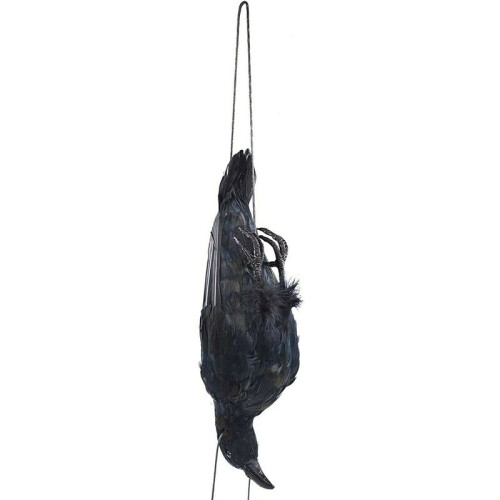 2X Realistic Hanging Dead Crow Decoy Lifesize Extra Large Black Feathered Crow 2