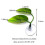2X Beta Fish Hammock Plant Leaf Mat Fish Spreading Breeding Resting Bed 5