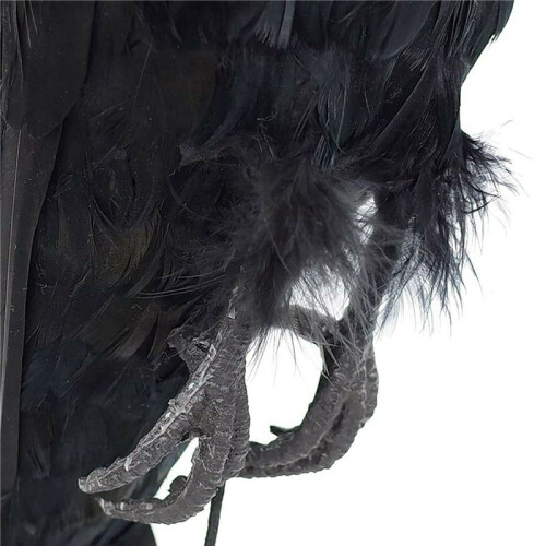 2X Realistic Hanging Dead Crow Decoy Lifesize Extra Large Black Feathered Crow