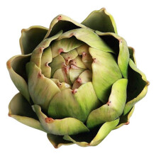 12 Stks Groene Kunstmatige Artisjok Plastic Nep Bloem Nep Artisjok voor Thuis Bruiloft Tafeldecoratie