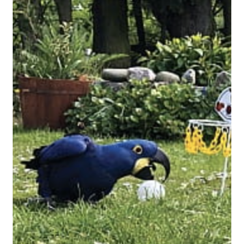 Panier De Basket Xxl - Jouet Interactif Pour Grandes Perruches 2