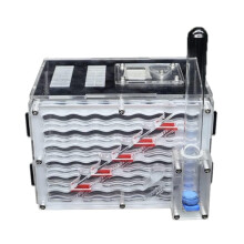 Ant Farm with Builtin Moisture System Transparent Acrylic Live Ant Habitat for Kids Education