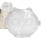 Pet care, transparent cat muzzle, breathable antibite  lightweight kitten accessories 1