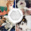 Pet care, transparent cat muzzle, breathable antibite  lightweight kitten accessories 3