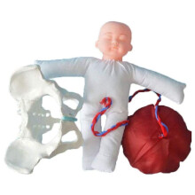Childbirth Simulator Female Pelvis Birth Model with Baby and Detachable Placenta for Obstetric Training