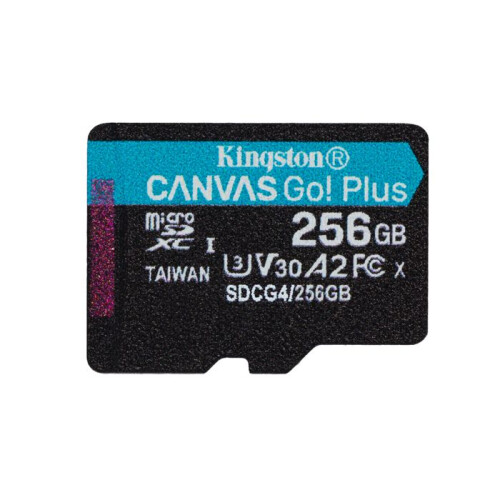 Kingston KINGSTON 256Go microSDXC Canva