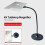 Lente d'ingrandimento 4X con supporto da 252x145mm 5