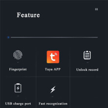 Tuya SmartLife APP Remote Control Fingerprint Cabinet Drawer Strongbox Mailbox Electric Lock Silver L30mm