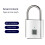 Fingerprint Lock Electronic Lock Electronic Fingerprint Lock Padlock Outdoor Waterproof and Rust-Proof Silver 2