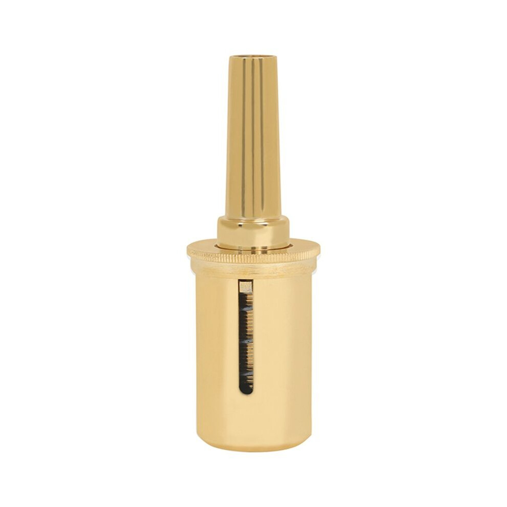 Trumpet Pressure Reducing Valve Trainer Trumpet Mouthpiece Corrector Professional Correction Assistant Tool,Gold 4711580843326