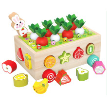 Montessori Wooden Toys Carrot Harvest Shape Sorting Puzzle for Toddler Fine Motor Skill Learning