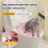 Cat Toilet Training  with Non-Slip Oval Design, Includes Pad Box Grey 5