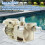 2set 350157 Union Replacement Kit for  Superflo & SuperFlo Variable Speed Pool Pump, Pool Pump Union 7