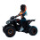 Bunny Rider helmmuts 5