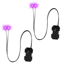 Halloween-LED-Leuchtaugen mit Timer, 2 Stück Leuchtende Skelettaugen, Horror-DIY-Augen für Masken, Kürbisse, Grabsteine, Requisiten C
