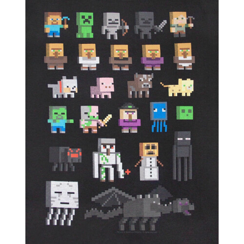 Minecraft Minecraft Short Sleeved T-Shirt (Boys Black) 2