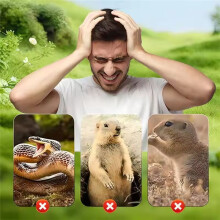 Solar Powered Waterproof Spiral Mole Repellent Ultrasonic Rodent/Snake/Bird Animal Repellent for Farm Courtyards