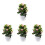 4Pcs Lifelike Artificial Potted Fruit Tree Tabletop Decor 3