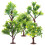 50Pcs Small Plastic Model Trees for Micro Landscape and Home Use 3