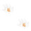 2Pcs Elegant Hairpins for Wedding Party Evening Decor 6