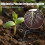 Solar Irrigation System for Garden Balcony Automatic Drip Irrigation System DIY Garden Watering System Drip Irrigation 3