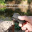 Len Protector for  Max 2 Action Camera Tempered Glass Len Cap Protector HD Scratch-Resistant Len Protector Cap 5