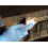 SEMPERIT hydraulikslange DN20 2SNK 280 BAR 7