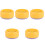 5Pcs Durable Plastic Nursery Catnip Hydroponic Planting Box for Pet 5