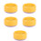 5Pcs Durable Plastic Nursery Catnip Hydroponic Planting Box for Pet 9