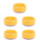 5Pcs Durable Plastic Nursery Catnip Hydroponic Planting Box for Pet 8