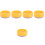 5Pcs Durable Plastic Nursery Catnip Hydroponic Planting Box for Pet 6