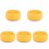 5Pcs Durable Plastic Nursery Catnip Hydroponic Planting Box for Pet 4