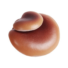 Fake Food Artificial Oyster Mushroom Figurine Hand Painted Play Food Accessory for Cake Topper Decor