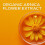 Weleda Arnica Ointment 4