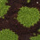Bonnet Tortue Vert Coton Crocheté Pour - Photo Bébé 4