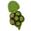 Bonnet Tortue Vert Coton Crocheté Pour - Photo Bébé 6