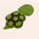 Bonnet Tortue Vert Coton Crocheté Pour - Photo Bébé 8