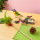 6Pièces Support Perchoir Bois Naturel Pour Perroquets Jeu 10