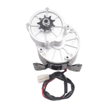 Electric Bicycle/Bike/Scooter Motor, Gear Brushed Motor 250W(24V)
