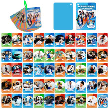 Occupation Flash Cards for Kids 50pcs Colorful Waterproof Career Learning Set for Preschool