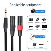 2X Jack 6,35 mm 1/4 TRS Stéréo Vers Double XLR Mâle Câble D'Extension Câble Audio Séparateur en Y Câble Audio 200 cm