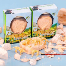 Dinosaur Excavation Kit with Skeleton Model DIY Dig and Build STEM Learning Toy for Kids