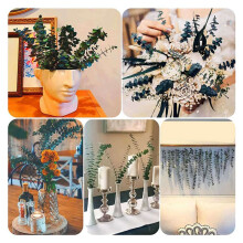 32Pcs-Preserved-Dried-Eucalyptus-Branches, 17in Fresh Eucalyptus Plant for Shower, Real Eucalyptus Bunch for Vase Filler