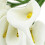 60Pcs  Calla Artificial Flower Bouquet Wedding Decoration DIY Wreath Gift White 1